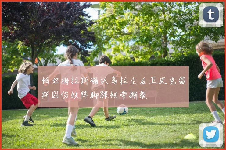 帕尔梅拉斯确认乌拉圭后卫皮克雷斯因伤缺阵脚踝韧带撕裂