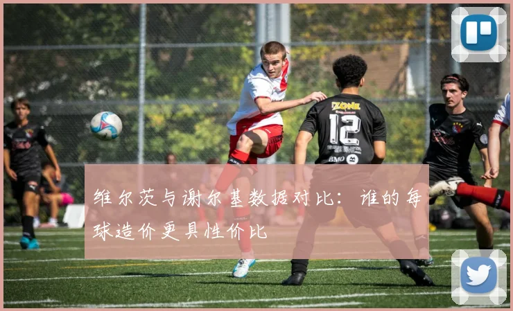 维尔茨与谢尔基数据对比：谁的每球造价更具性价比