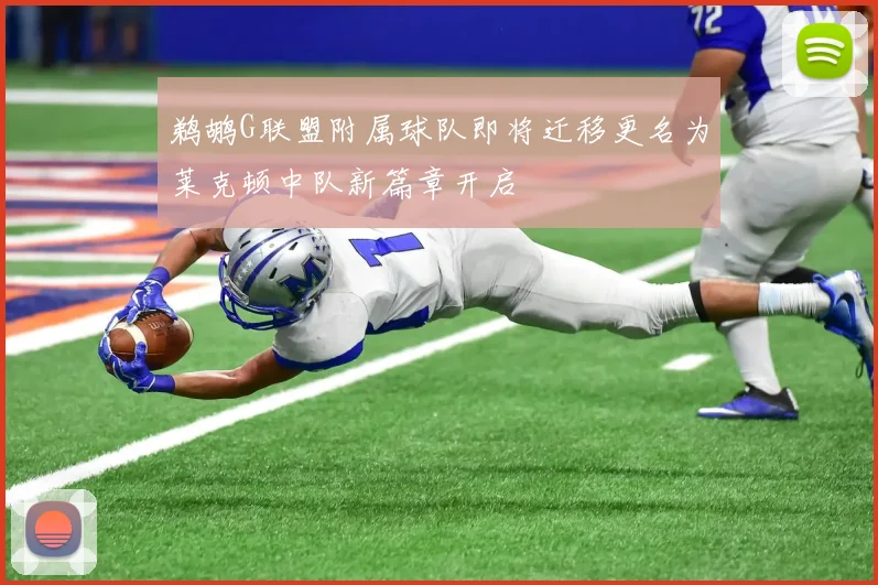 鹈鹕G联盟附属球队即将迁移更名为莱克顿中队新篇章开启